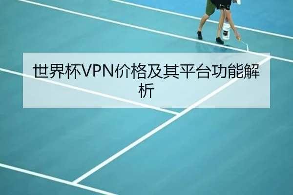 世界杯VPN价格及其平台功能解析