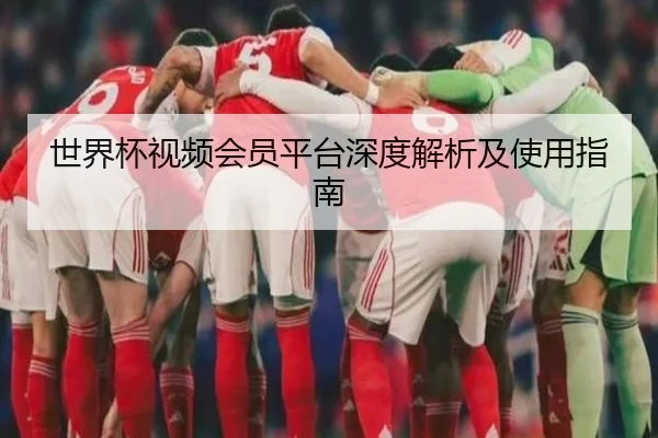 世界杯视频会员平台深度解析及使用指南