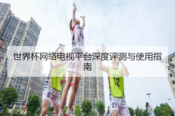 世界杯网络电视平台深度评测与使用指南