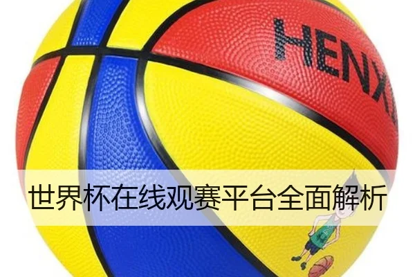世界杯在线观赛平台全面解析