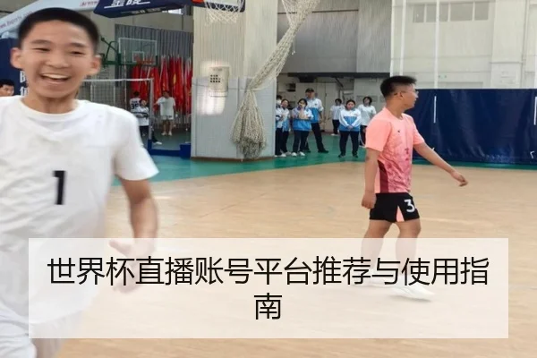 世界杯直播账号平台推荐与使用指南