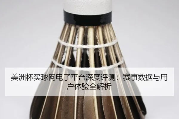 美洲杯买球网电子平台深度评测：赛事数据与用户体验全解析