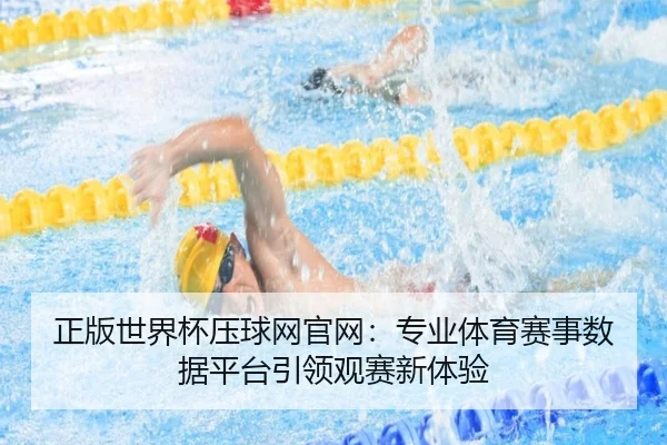 正版世界杯压球网官网：专业体育赛事数据平台引领观赛新体验