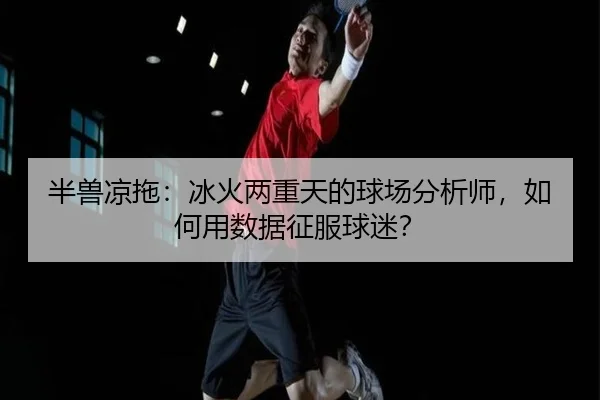 半兽凉拖：冰火两重天的球场分析师，如何用数据征服球迷？